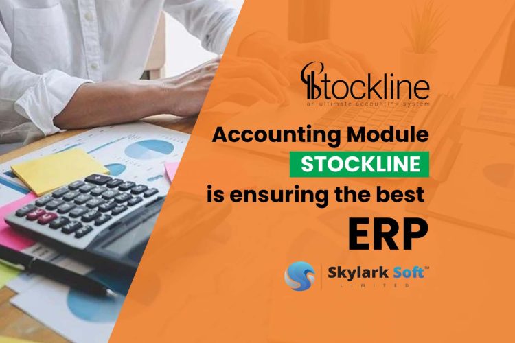 Financial Management System Skylark Soft Limited Revolutionizing Financial Management System in Manufacturing Feature Image