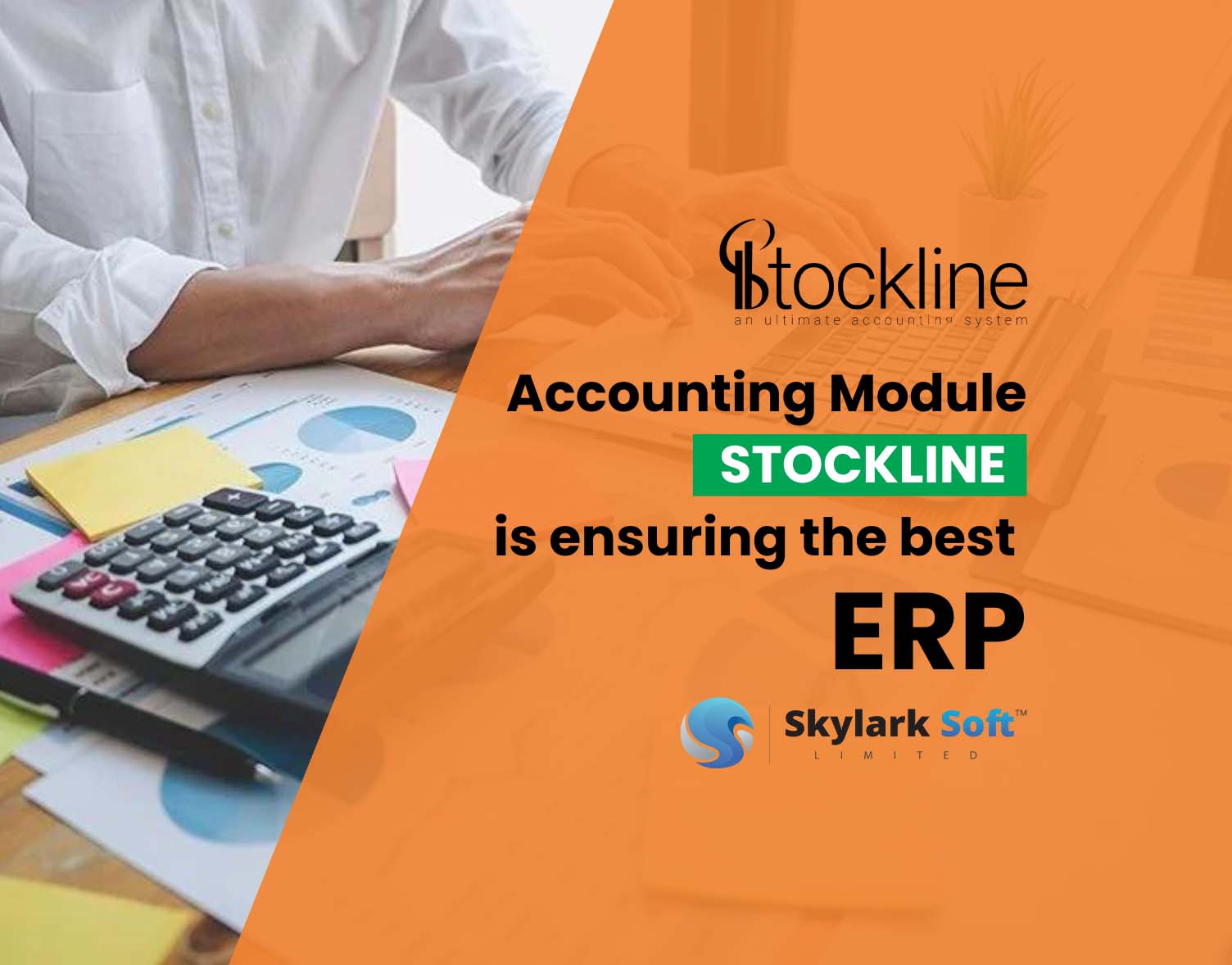 Financial Management System Skylark Soft Limited Revolutionizing Financial Management System in Manufacturing Feature Image